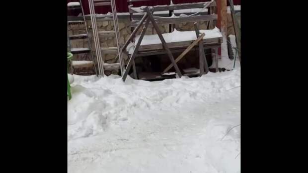 Девушка в Балашихе обнаружила на прогулке очень набожного кота — на шее у пушистого висит крест. https://t.me/webmoney_dn/310868Video: Клип