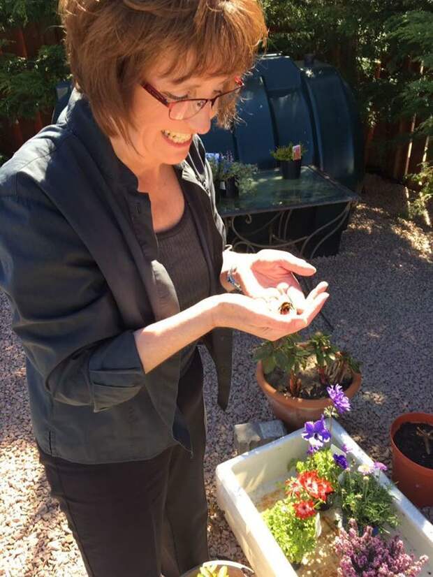 Фиона Пресли из Шотландии обнаружила насекомое случайно, когда работала в своём саду. добрые люди, дружба, истории, насекомые, природа, спасение, фото, шмель