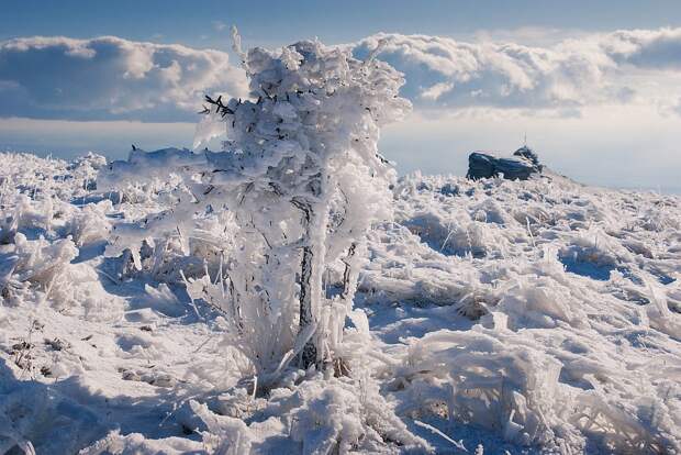 Путешествие в Крым: зимние пейзажи