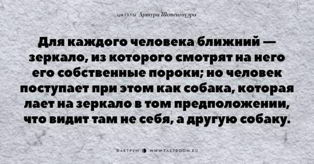 20 незабываемых цитат «философа пессимизма» Артура Шопенгауэра