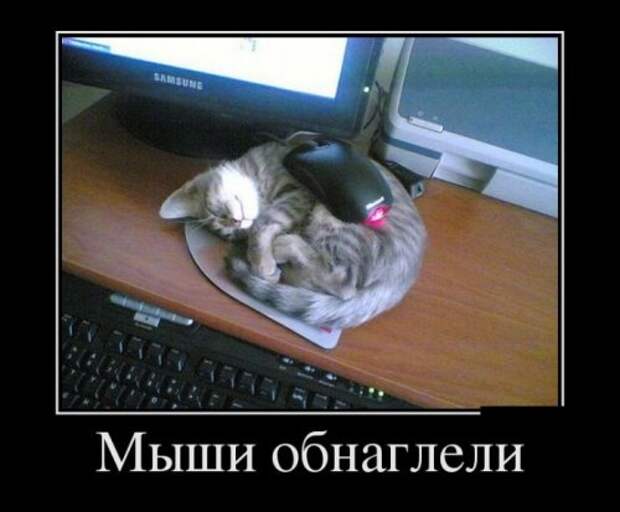 Демотиваторы (35 шт)
