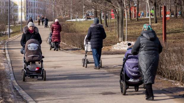 Материнский капитал для отцов детей от суррогатных матерей: почему Россия идет на этот шаг Материнский капитал для отцов детей от суррогатных матерей: почему Россия идет на этот шаг