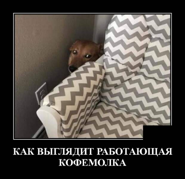 www.vsyako.net