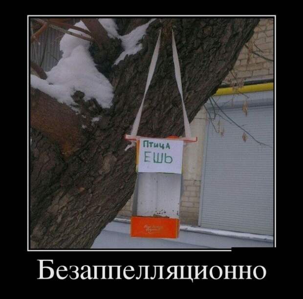 Демотиваторы (30 фото)