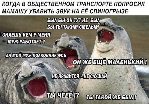www.vsyako.net