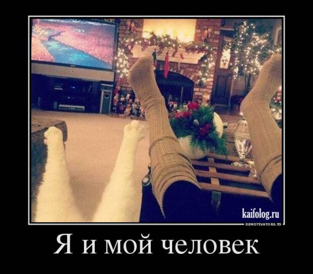 Демотиваторы - 249 (55 демотиваторов)