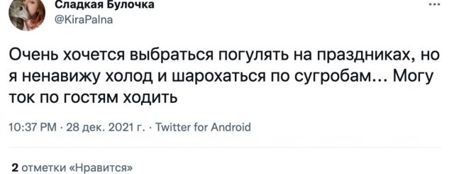 Пользователи рассказали о своих планах на новогодние праздники