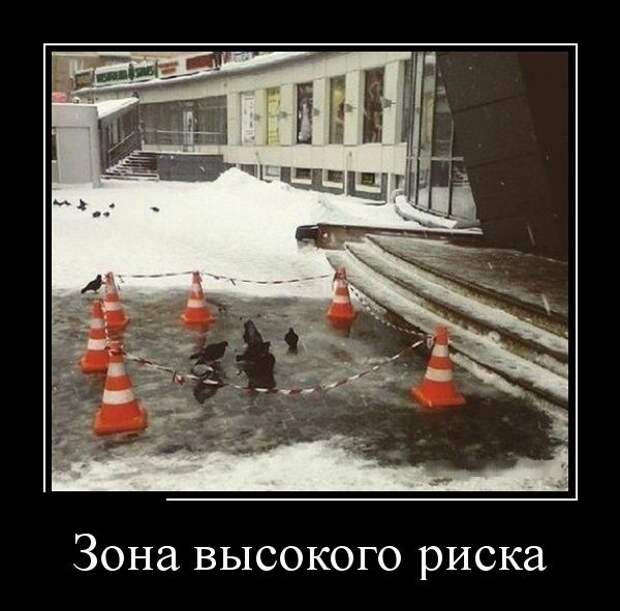 Демотиваторы (30 фото)