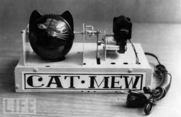 Машина Cat-Mew (1963) история, ретро, фото, это интересно