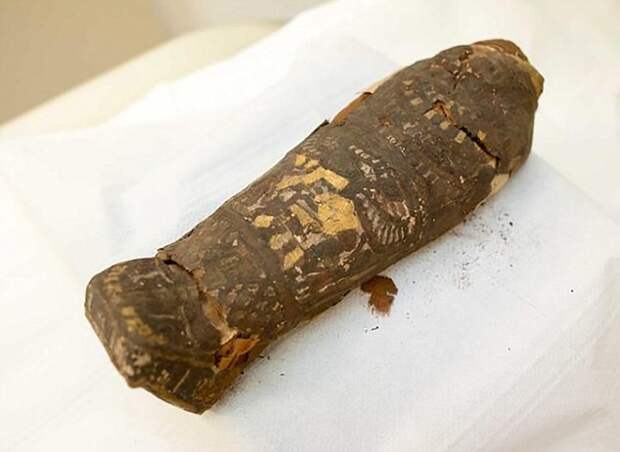 Плод любви фараона? Египетская мумия, которую считали мертвой птицей, оказалась ребенком археология, египет, история, мумии, открытия