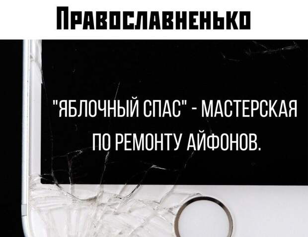 kartinok-prikolnyh-podborka-kartinki-smeshnye-kartinki-fotoprikoly