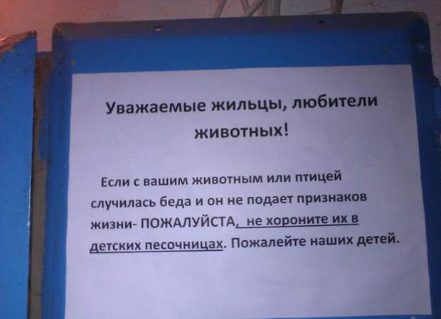 Прикольные картинки Прикольные картинки