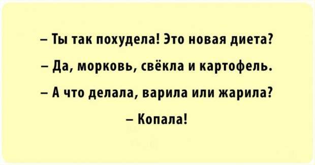 Подборка лучших шуток для настроения