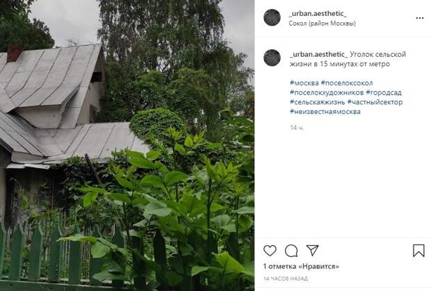 Фото дня: город-сад в районе Сокол