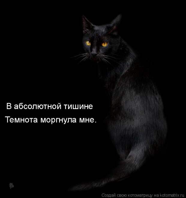 Котоматрица: В абсолютной тишине Темнота моргнула мне.