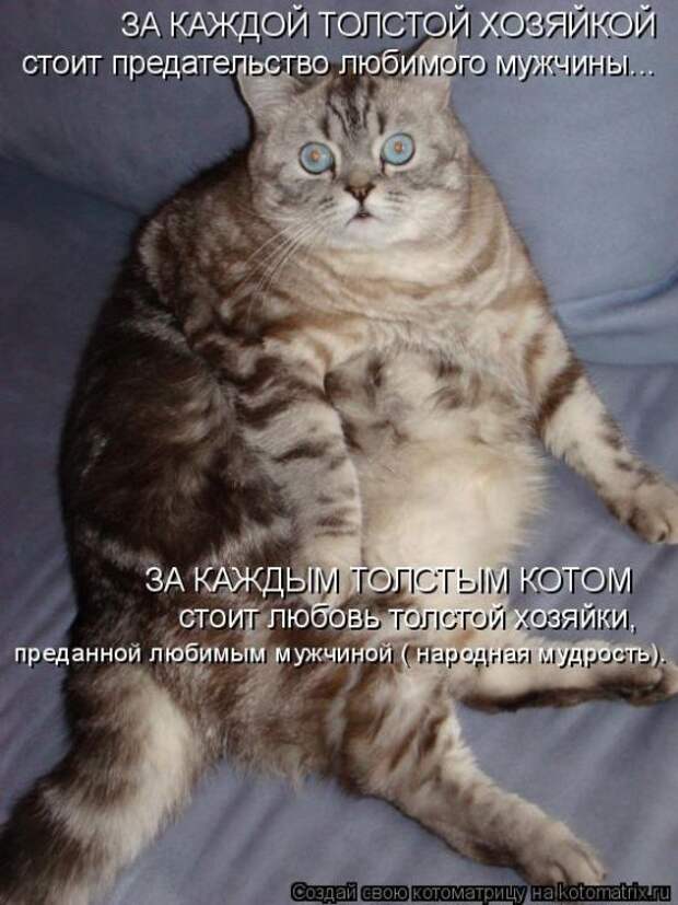 Забавные животные (50 фото)