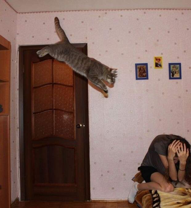 С добрым утром!
