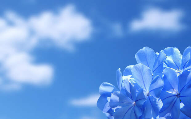 http://img-fotki.yandex.ru/get/6519/129574434.b1/0_fb045_c4a0235c_XL
