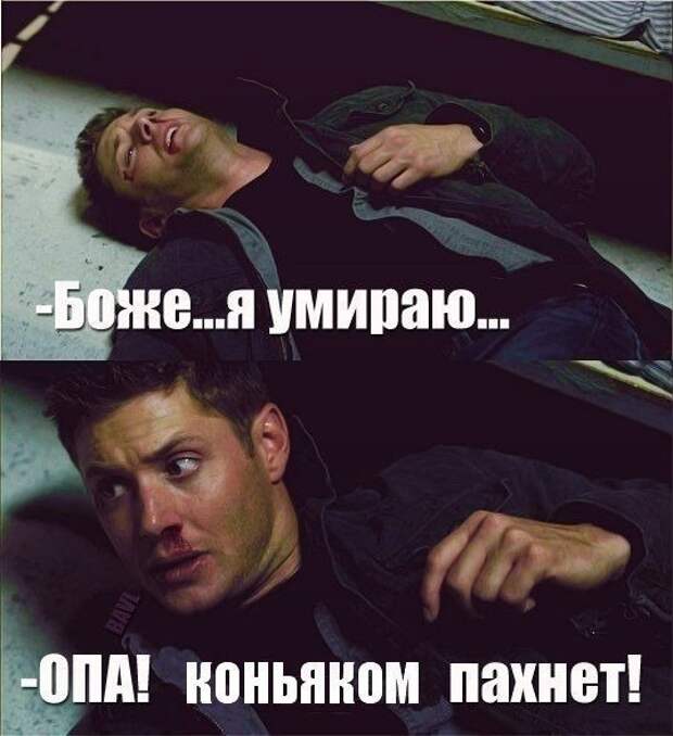 Весёлые картинки  сеть, суббота