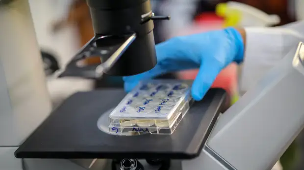 В Греции за сутки выявили 890 новых случаев коронавируса