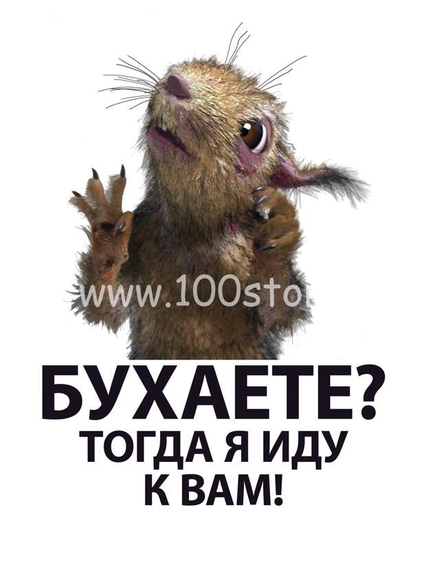 Белка после праздников