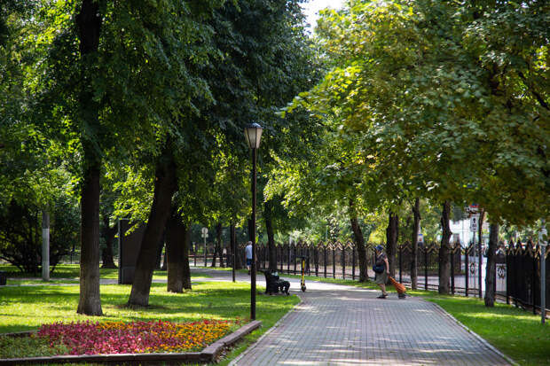 В парке «Сосновка» в Петербурге прохожий нашел тело младенца