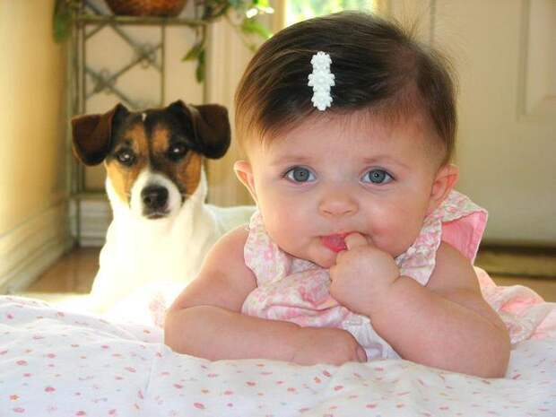 11161_PetsKids_2007 (700x525, 40Kb)
