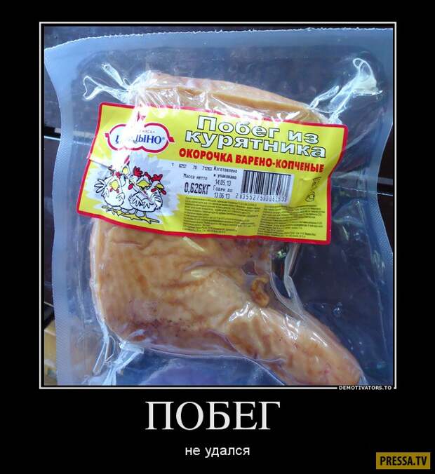 Демотиваторы (42 фото)