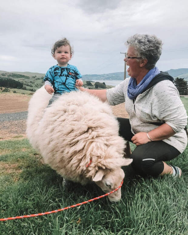 11328535_original (560x700, 394Kb)