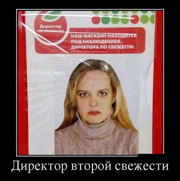 Демотиваторы