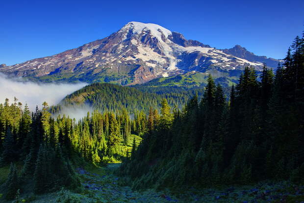 NewPix.ru - Национальный парк Маунт-Рейнир (Mount Rainier National Park) . Фотограф Kevin McNeal