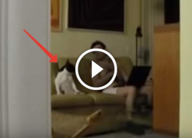 Жена увидела, что делает ее муж, оставаясь с их псом наедине, и не смогла это не снять!