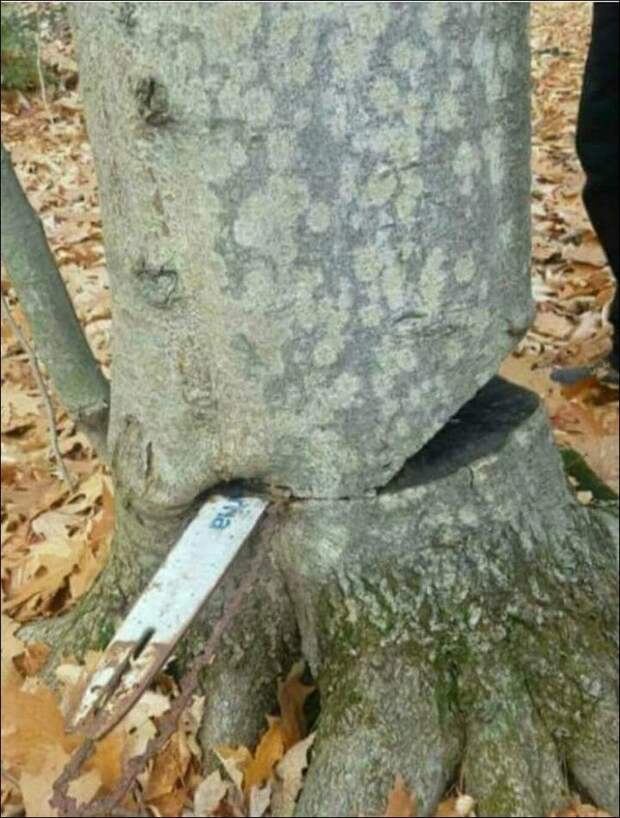 Когда что-то явно пошло не так Когда что-то явно пошло не так