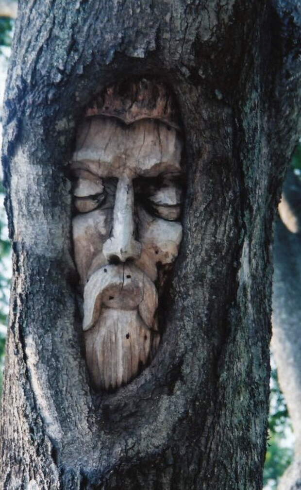 Проект Кита Дженнингса (Keith Jennings) «Tree Spirits» 