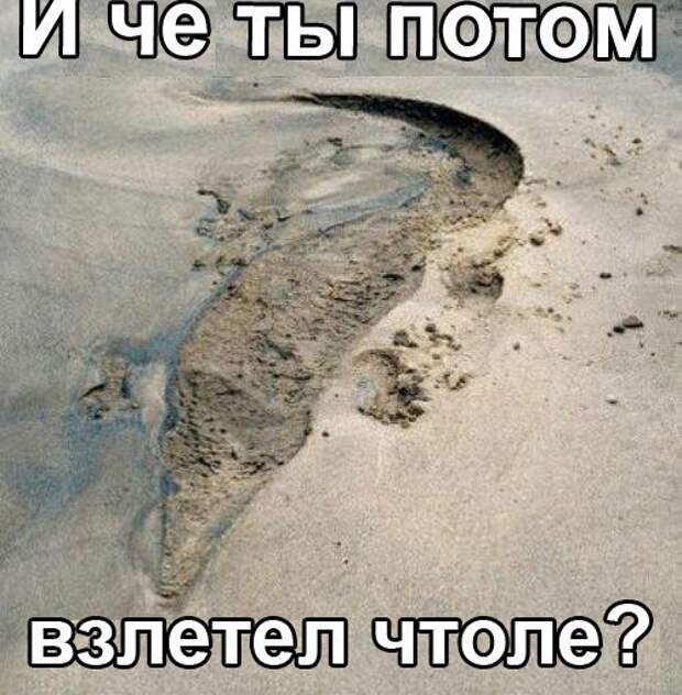 крокодил-410235 (500x510, 75Kb)