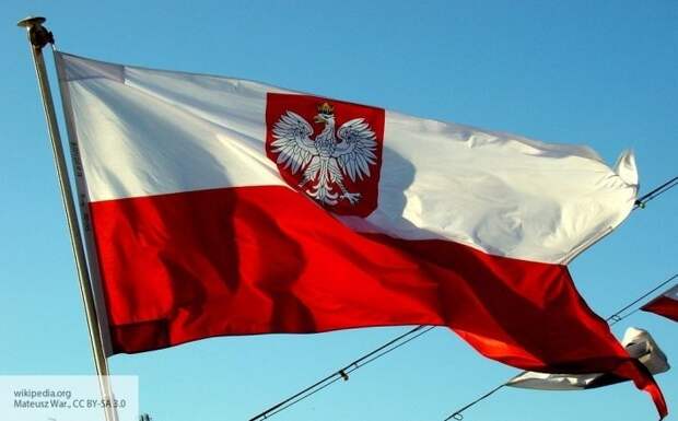 Крик души заробитчанки, или Хороший украинец работает в черную: как жители "цэевропы" проходят все круги ада в Польша