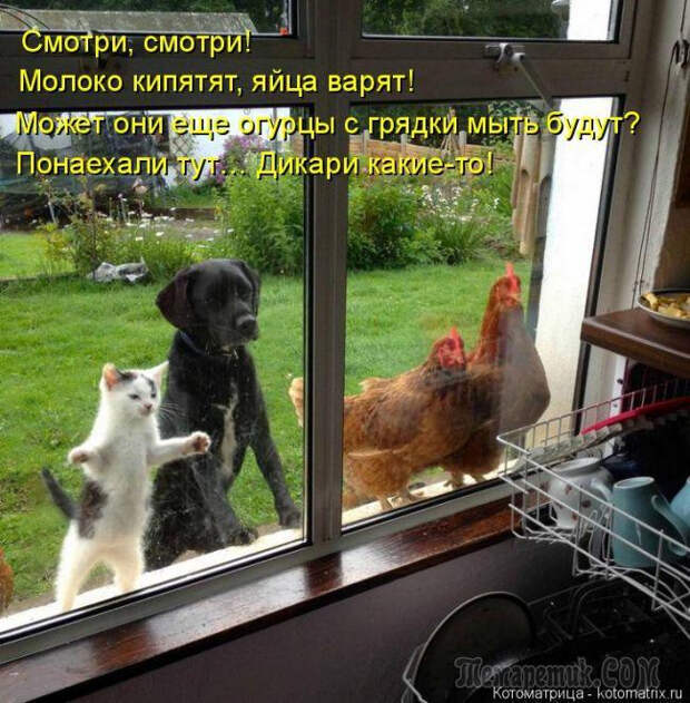 Р° (650x662, 393Kb)