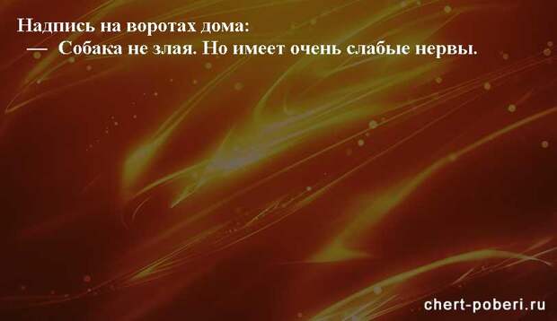 Самые смешные анекдоты ежедневная подборка chert-poberi-anekdoty-chert-poberi-anekdoty-36240913072020-20 картинка chert-poberi-anekdoty-36240913072020-20