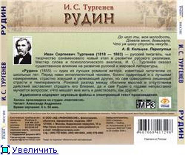 Картина общественно политической жизни в романе рудин