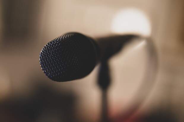 Микрофон. Фото: pixabay.com