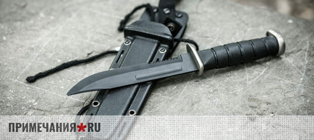 Полиция Севастополя разбирается с принесшей в школу нож девочкой