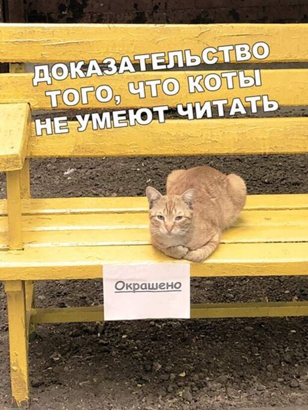 Может все таки умеет
