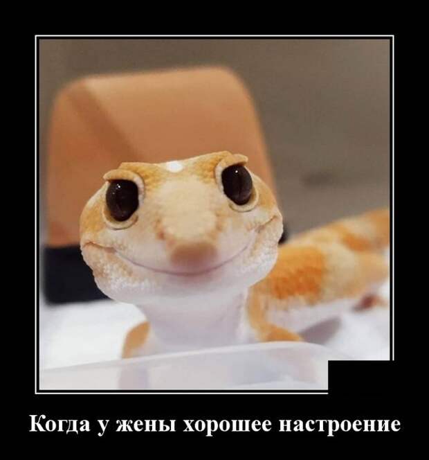 Демотиваторы 14 июля 2021