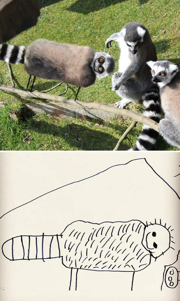 kid-drawings-things-i-have-drawn-dom-23-580dfb8dcf47d__700