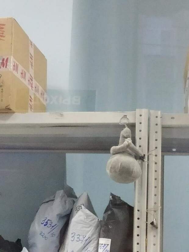 Приколы про 