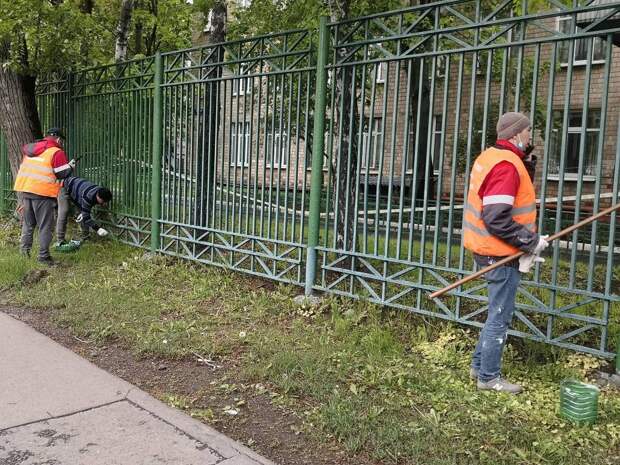 забор-1.jpg
