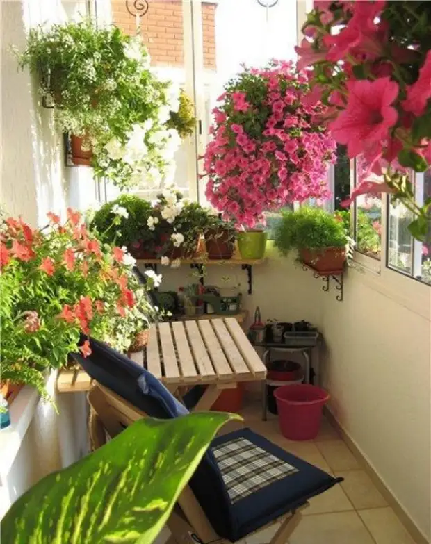 Как украсить балкон цветами и растениями фото застекленный