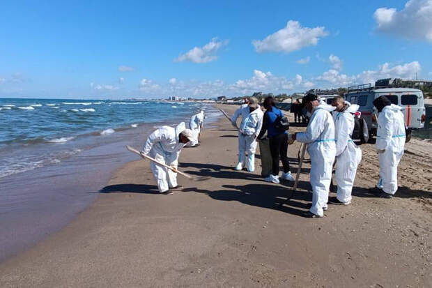 Кондратьев просит исключить 8 пляжей Анапы из зоны ЧС после разлива мазута