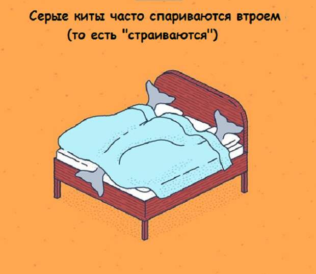 www.vsyako.net