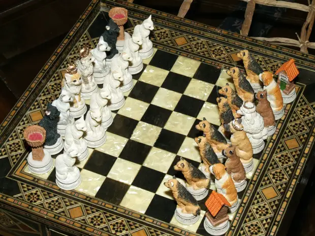 Украинских шахматисток отстранили за отказ выступить против российских спортсменов